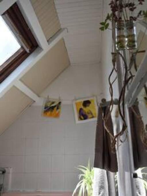Appartamento Le Strelitzia 1 Cilaos Esterno foto